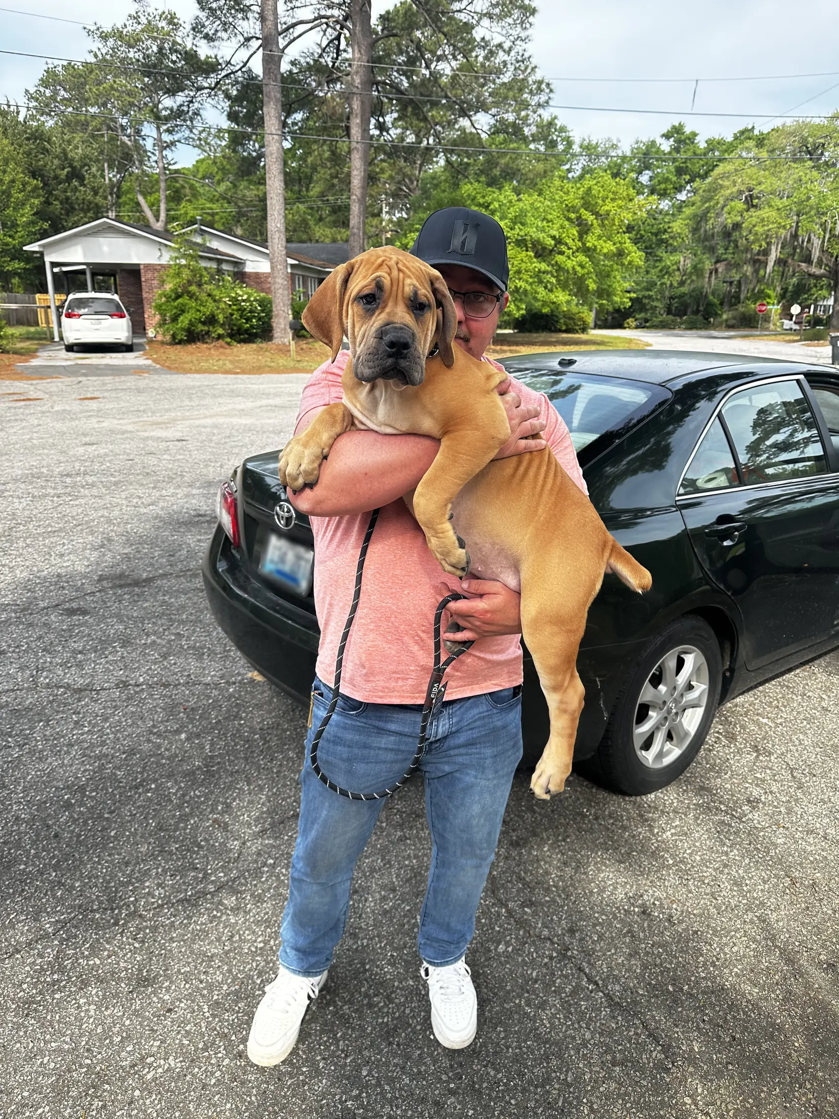 A new owner holding his LowCountry Boerboels South African Boerboel puppy against his shoulder on the day he collected him, his car behind them