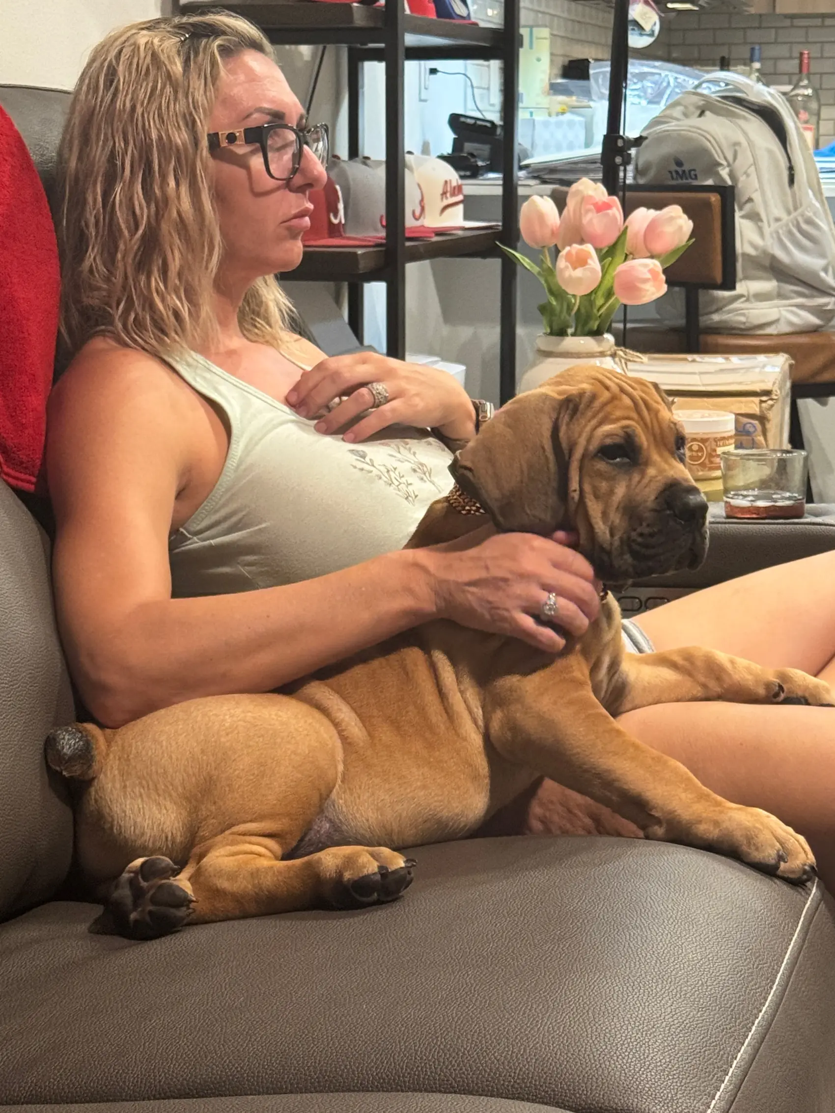 An owner on the sofa with her South African Boerboel stretched across her lap