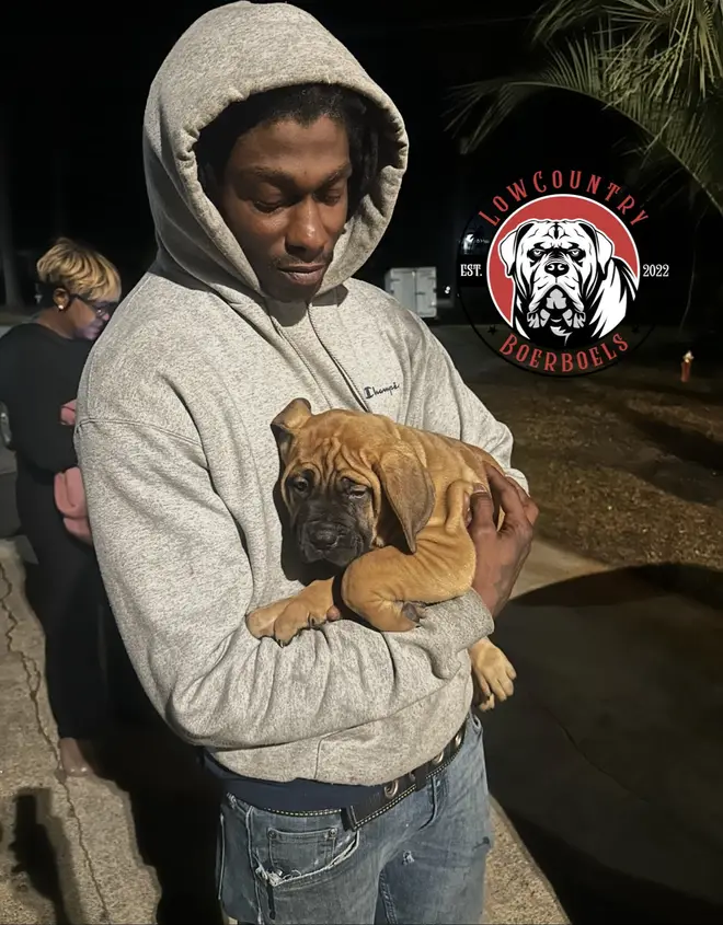 A new owner cradling his LowCountry Boerboels South African Boerboel puppy outside the kennel