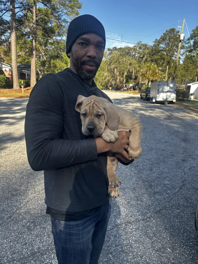 An owner in a beanie carrying his new South African Boerboel puppy down the driveway