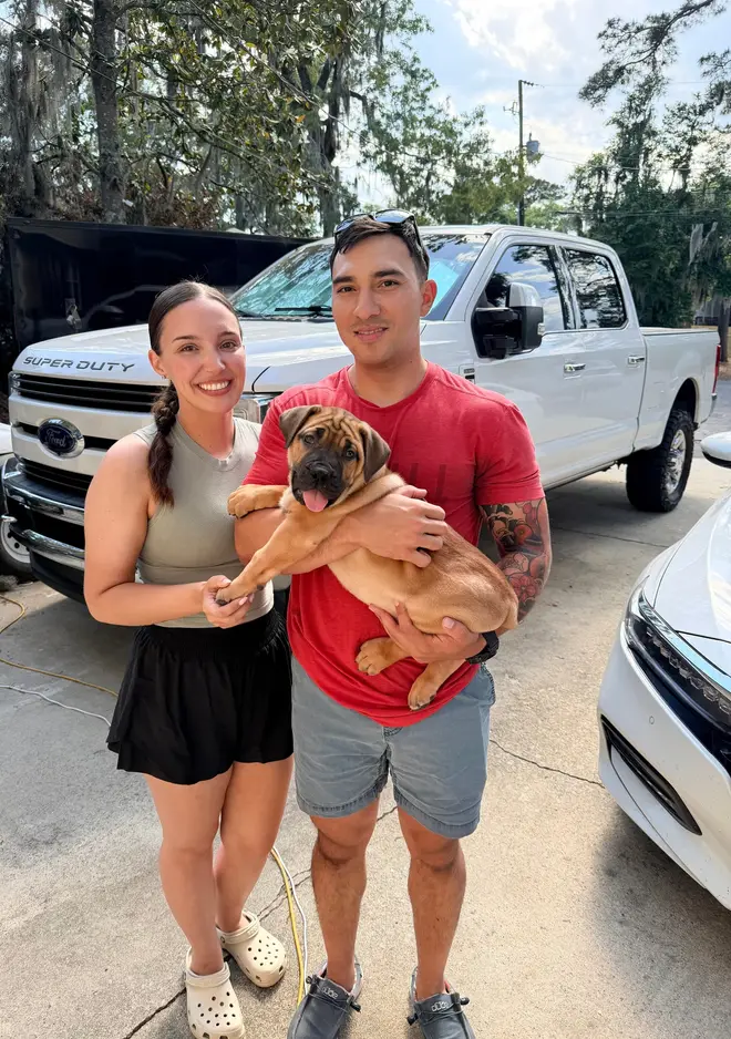 A couple collecting their South African Boerboel puppy from LowCountry Boerboels, the new owner holding her in front of his pickup