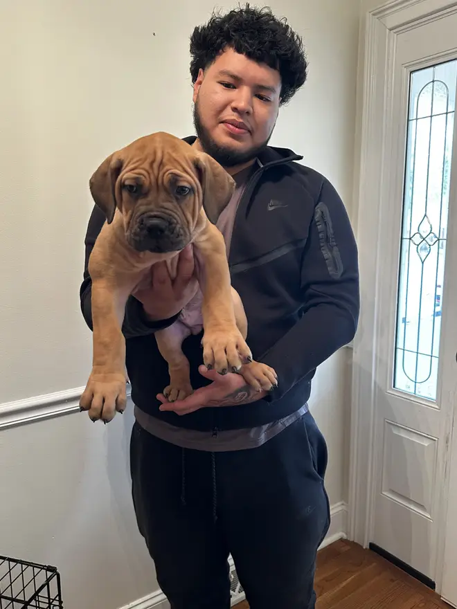 A new owner smiling on his doorstep with the South African Boerboel puppy he has just collected from LowCountry Boerboels