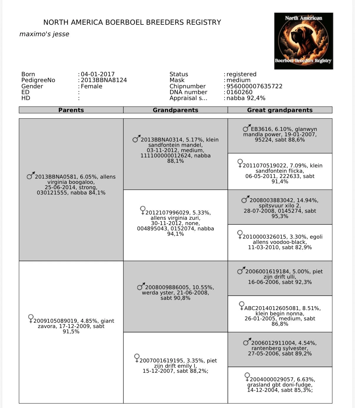 North American Boerboel Breeders Registry pedigree certificate for Maximo’s Jesse, listing four generations of South African Boerboel ancestry