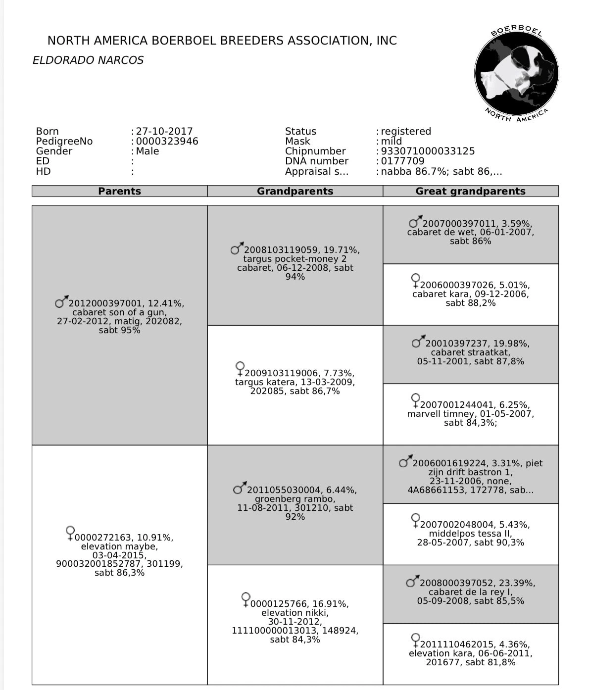 North American Boerboel Breeders Association pedigree certificate for Eldorado Narcos, listing four generations of South African Boerboel ancestry
